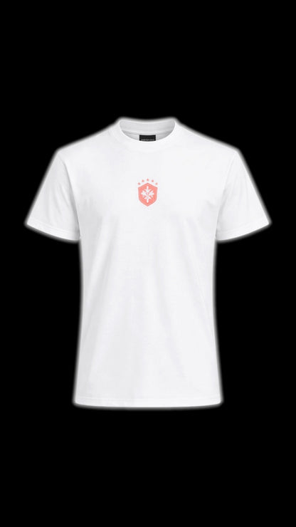 TEE PINK SEVENTEEN SEASON BRASIL