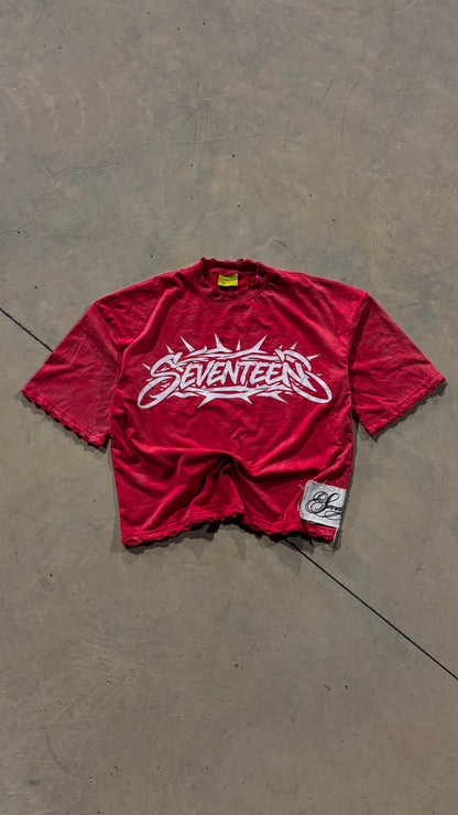 TEE JESUS RED ACID WASH